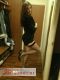   , , +7 (995) 563-5895