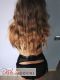   , , +7 (995) 573-1536