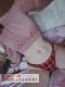   , , +7 (993) 109-0951
